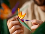 LEGO® Botanical Collection Bird of Paradise 10289 released in 2021 - Image: 12