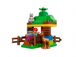 LEGO® Duplo Wildtiere 10582 erschienen in 2015 - Bild: 3