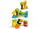 LEGO® Duplo Creative animals 10934 released in 2020 - Image: 5