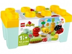 LEGO® Duplo Organic Garden 10984 released in 2023 - Image: 2