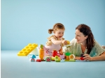 LEGO® Duplo Organic Garden 10984 released in 2023 - Image: 10