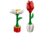 LEGO® Classic LEGO® Flower Display 40187 released in 2018 - Image: 1